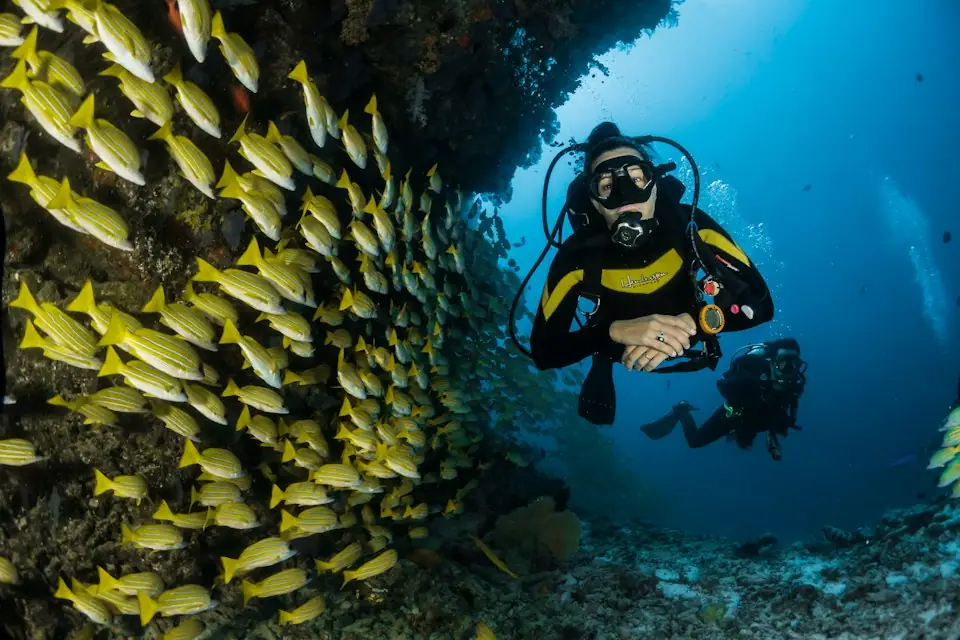 Clear Pacific water for west-side travel and shift planning