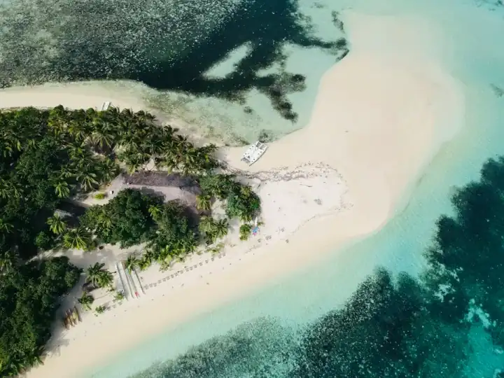 Aerial view of Fiji trees meeting the water