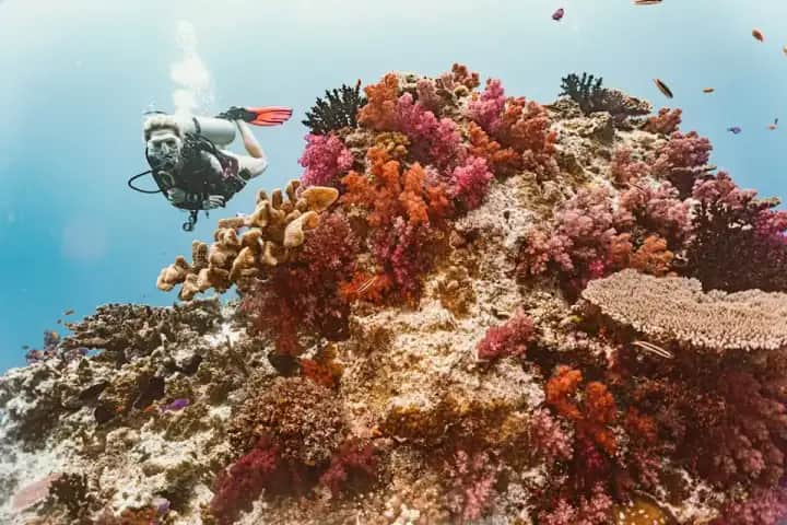 Scuba diving over coral reef waters in Fiji
