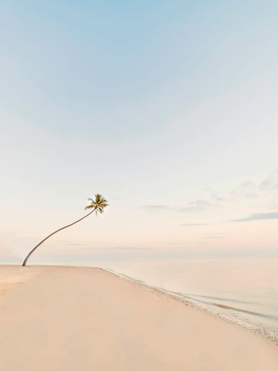 Quiet Fiji beach tree line near staff accommodation areas
