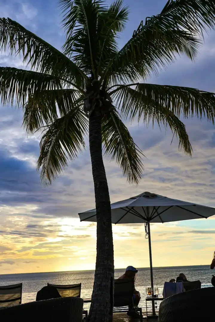 Palm-lined beach near Nadi on Fiji's west coast