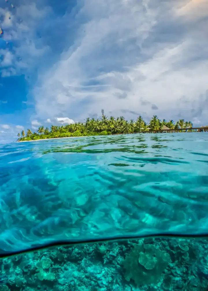 Tropical shoreline with palms and clear water in Fiji